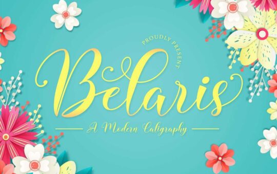 Belaris-Modern-Calligraphy-Script-Font-1.jpg