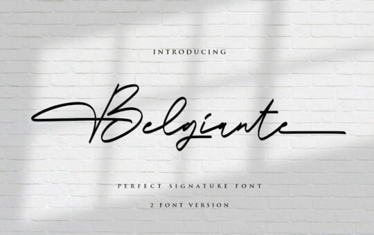 Belgiante-Handwritten-Signature-Font.jpg