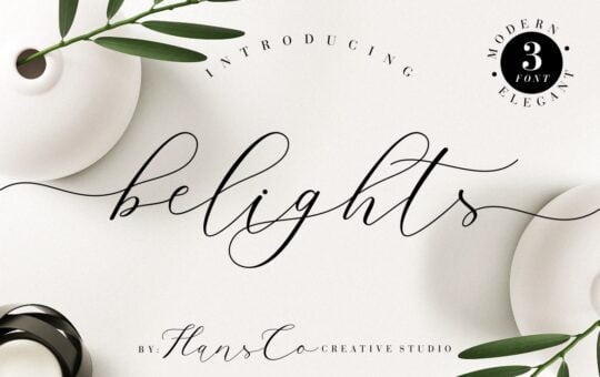 Belights-Calligraphy-Font-1.jpg