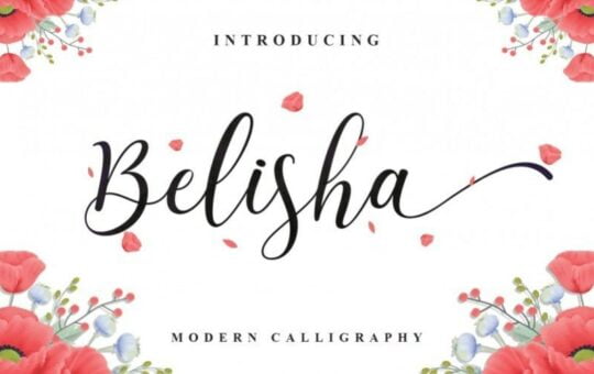 Belisha-Calligraphy-Font-1.jpg
