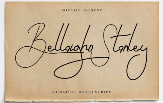 Bellaigho-Stanley-Script-Font-1.jpg