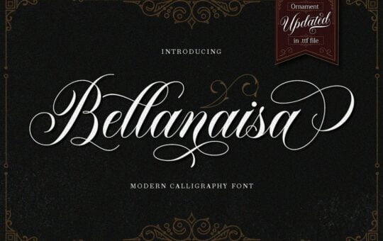 Bellanaisa-Script-Calligraphy-Font-1.jpg