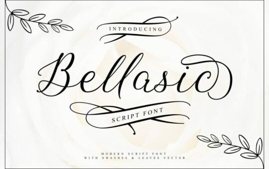 Bellasic-Script-Font.jpg