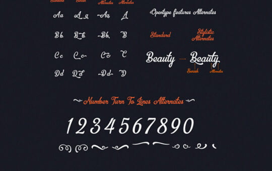Bellico-Typeface.jpg