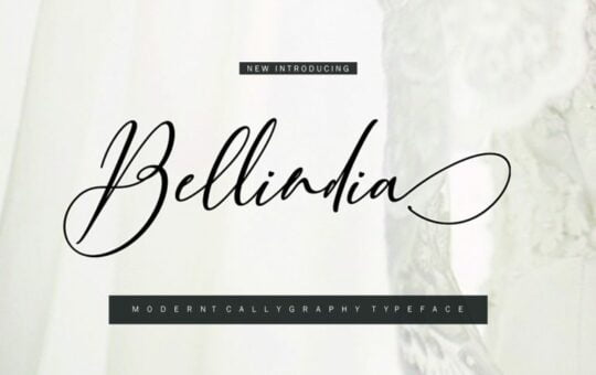 Bellidia-Script-Font.jpg