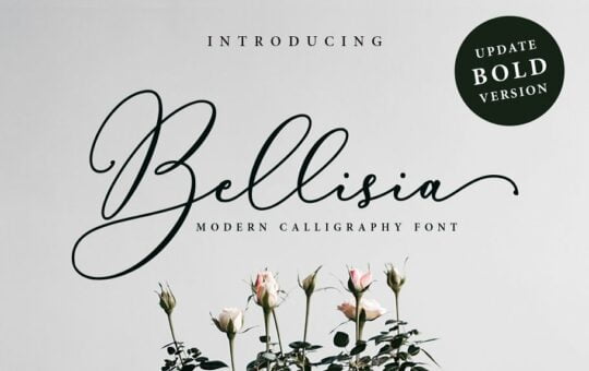 Bellisia-Script-Font.jpg