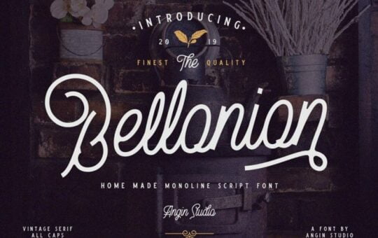 Bellonion-Font-Duo.jpg