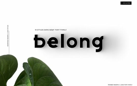 Belong-Sans-Font.jpg