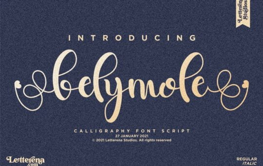 Belymole-Calligraphy-Script-Font-1.jpg