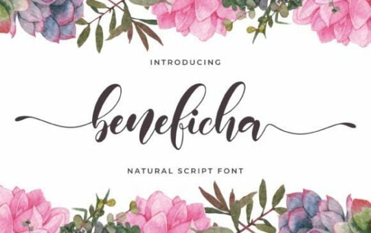 Beneficha-Font-1.jpg