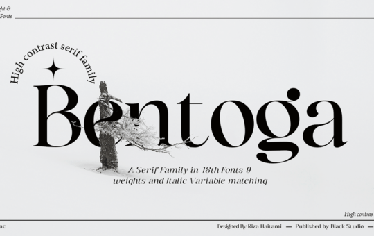 Bentoga-Modern-Serif-Font-1.png