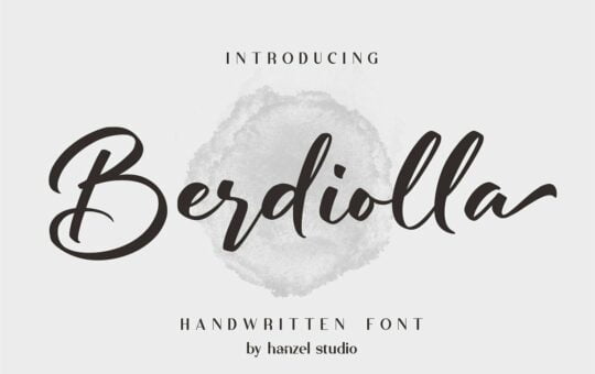 Berdiolla-Calligraphy-Font-1.jpg