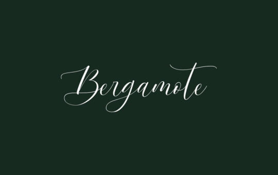 Bergamote-Font.jpg