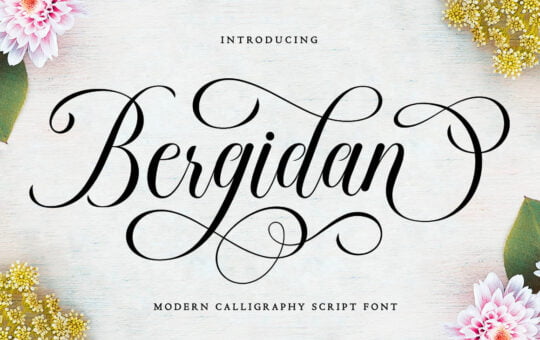 Bergidan-Modern-Script-Font-1.jpg