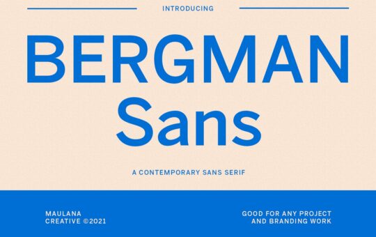 Bergman-Sans-Serif-Font-1.jpg