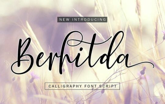 Berhilda-Script-Font.jpg