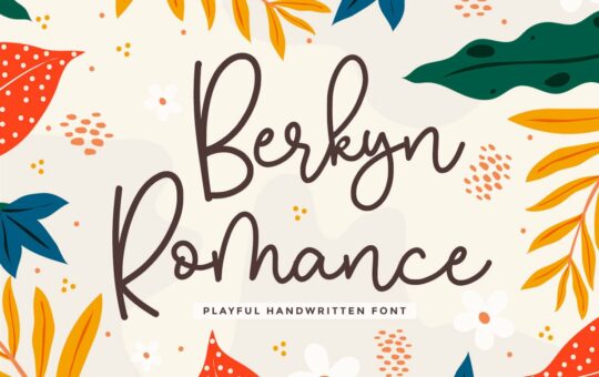 Berkyn-Romance-Playful-Handwritten-Font.jpg