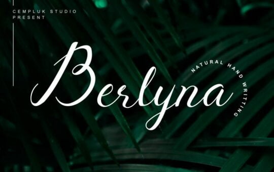 Berlyna-Modern-Script-Font-1.jpg