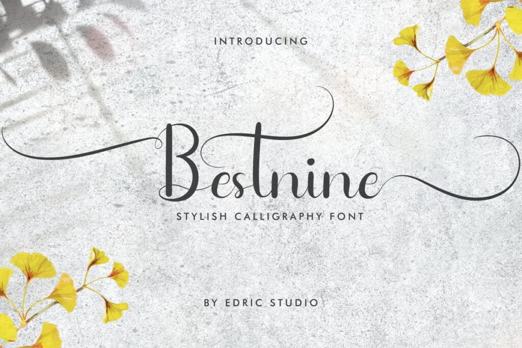 Bestnine-Calligraphy-Script-Font-1.jpg