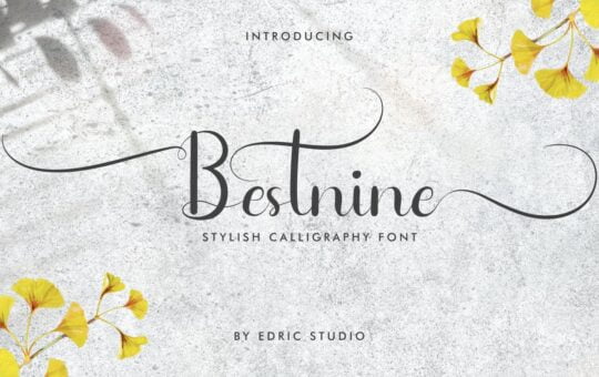 Bestnine-Calligraphy-Script-Font-1.jpg
