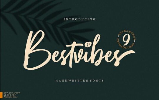 Bestvibes-Script-Font.jpg
