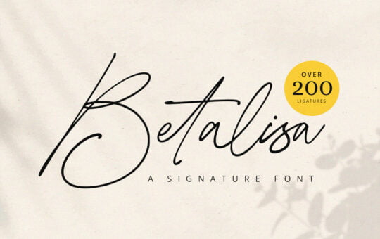 Betalisa-Signature-Monoline-Font-1.jpg
