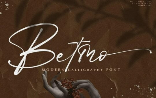 Betmo-Calligraphy-Script-Font-1.jpg