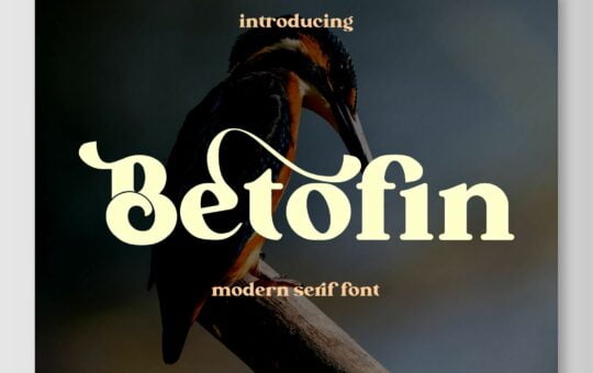 Betofin-Modern-Serif-Font-1.jpg