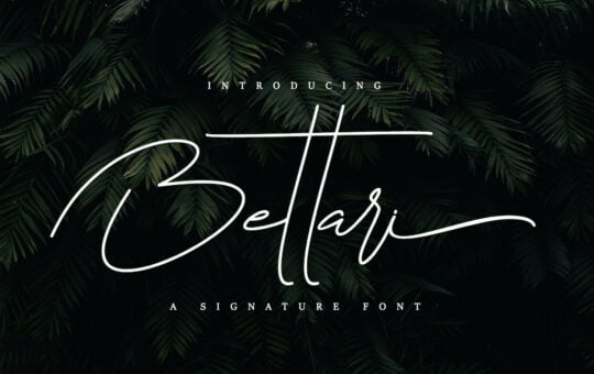 Bettari-Beautiful-Handwritten-Font-1.jpg
