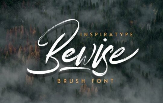 Bewise-Script-Brush-Font-1.jpg