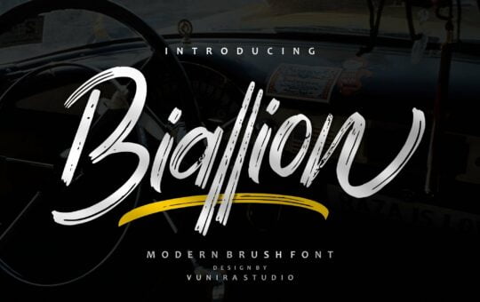 Biallion-Script-Brush-Font-1.jpg