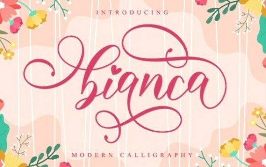 Bianca-Calligraphy-Font-1.jpg
