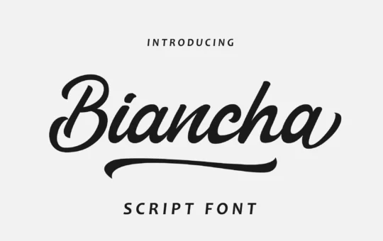 Biancha-Script-Font-1.webp