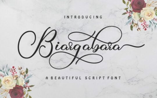 Biargabara-Calligraphy-Font.jpg