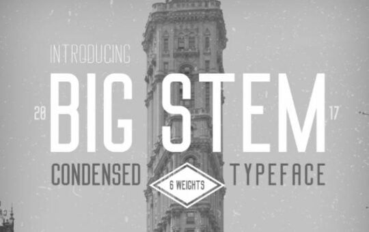 Big-Stem-Font.jpg