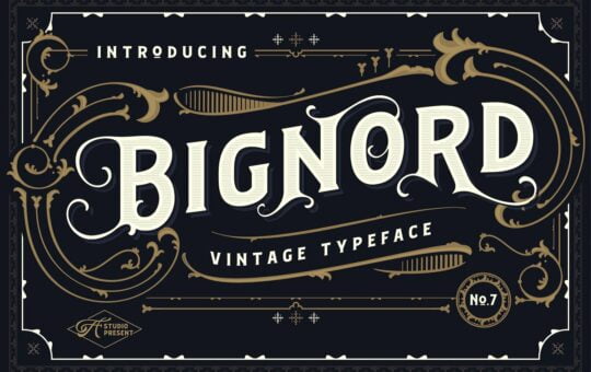 Bignord-Vintage-Serif-Typeface-1.jpg
