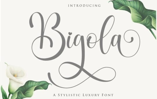 Bigola-Font.jpg