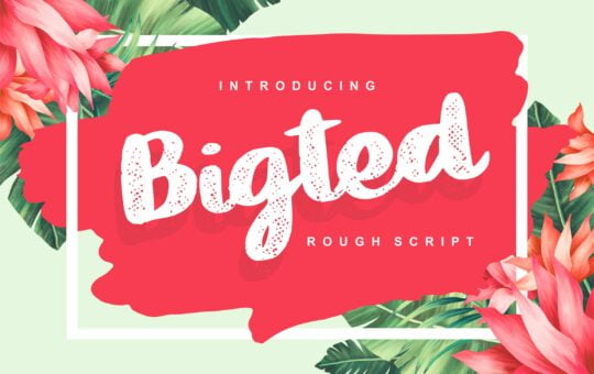 Bigted-Rough-Script-Font-1.jpg
