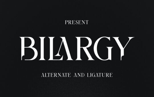 Bilargy-Modern-Serif-Font-1.jpg