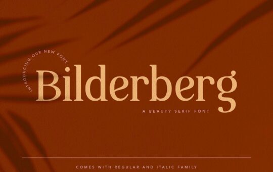 Bilderberg-Beauty-Serif-Font.jpg