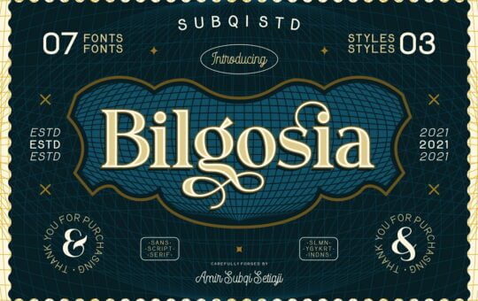 Bilgosia-Display-Font-Family-1.jpg