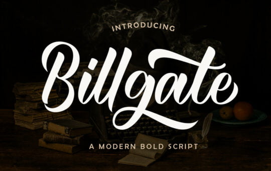 Billgate-Modern-Bold-Script-Font-1.jpg