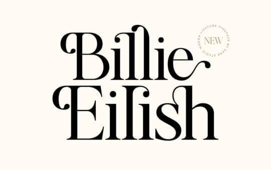 Billie-Eilish-Serif-Font-1.jpg