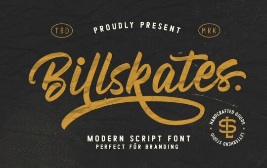 Billskates-Modern-Script-Font-1.jpg