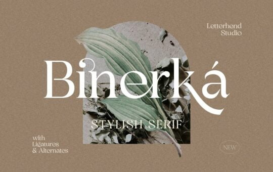 Binerka-Font.jpg