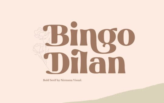 Bingo-Dilan-Font.jpg