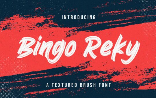 Bingo-Reky-Textured-Brush-Font-1.jpg