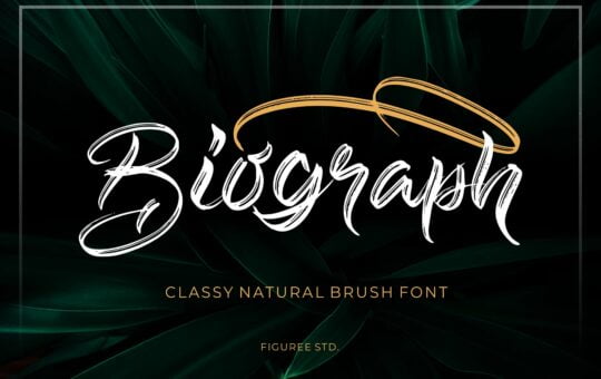 Biograph-Classy-Brush-Font-1.jpg