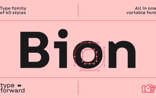 Bion-Sans-Serif-Font-Family-1.png