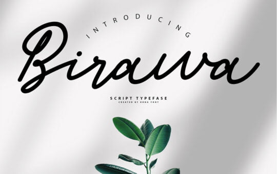 Birawa-Script-Handwritten-Font-1.jpg